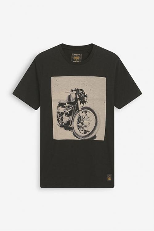 Exclusive men's t-shirt for FASHION RADIX products for bulk order for your store or brand